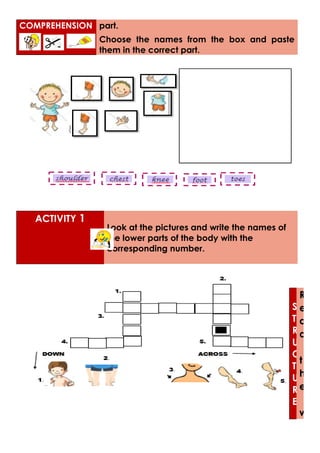 COMPREHENSION part.
Choose the names from the box and paste
them in the correct part.
S
T
R
U
C
T
U
R
E
R
e
a
d
t
h
e
w
ACTIVITY 1
Look at the pictures and write the names of
the lower parts of the body with the
corresponding number.
 