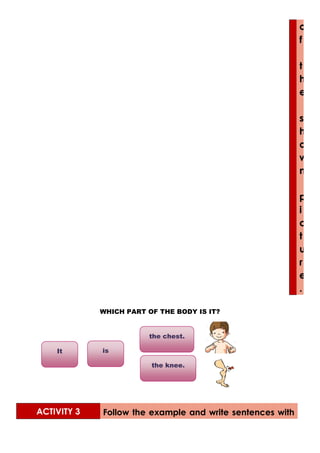 o
f
t
h
e
s
h
o
w
n
p
i
c
t
u
r
e
.
WHICH PART OF THE BODY IS IT?
ACTIVITY 3 Follow the example and write sentences with
It is
the knee.
the chest.
 