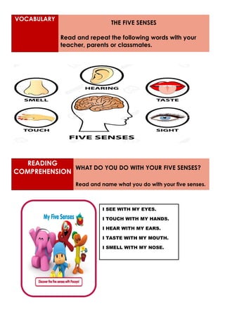 READING
COMPREHENSION
WHAT DO YOU DO WITH YOUR FIVE SENSES?
Read and name what you do with your five senses.
VOCABULARY
THE FIVE SENSES
Read and repeat the following words with your
teacher, parents or classmates.
PICTURE
I SEE WITH MY EYES.
I TOUCH WITH MY HANDS.
I HEAR WITH MY EARS.
I TASTE WITH MY MOUTH.
I SMELL WITH MY NOSE.
 