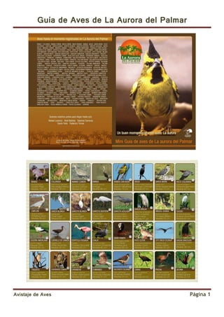 Guía de Aves de La Aurora del Palmar




Avistaje de Aves                                 Página 1
 