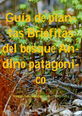 Trabajo realizado por Tomas Bobbera
Guía de plan-
tas Briófitas
del bosque An-
dino patagóni-
co
 