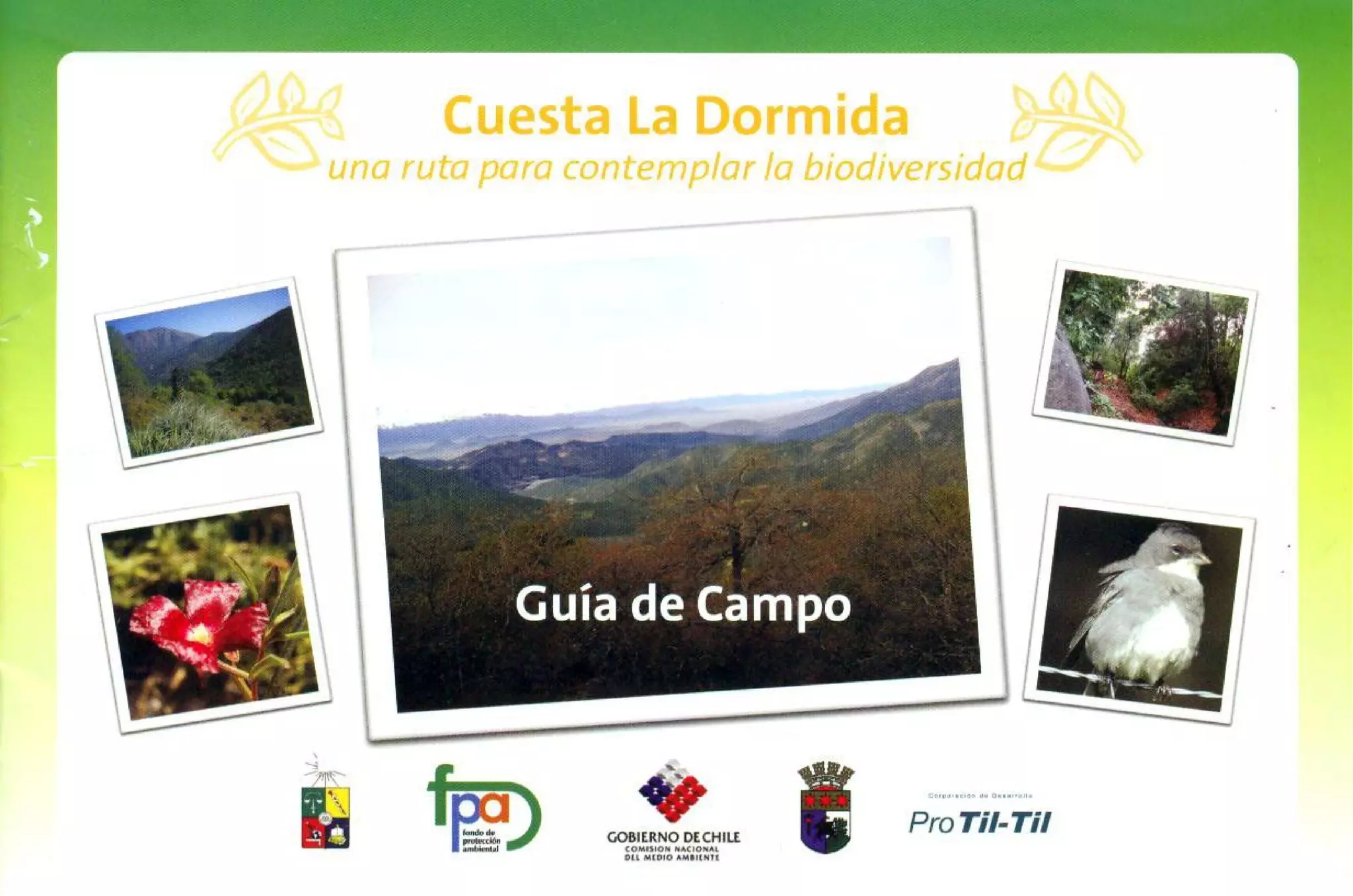 Guía de campo Cuesta La Dormida