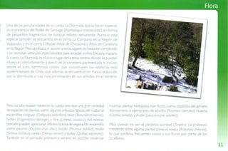 Guía de campo Cuesta La Dormida