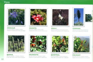 Guía de campo Cuesta La Dormida