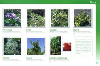 Guía de campo Cuesta La Dormida