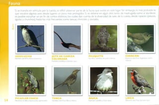 Guía de campo Cuesta La Dormida