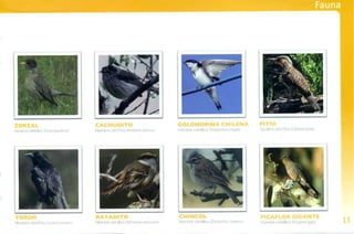 Guía de campo Cuesta La Dormida