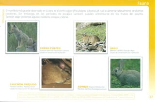 Guía de campo Cuesta La Dormida