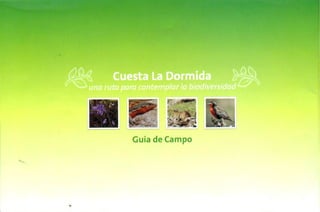 Guía de campo Cuesta La Dormida