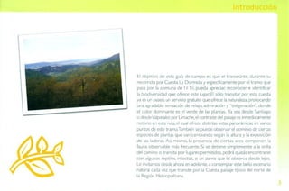 Guía de campo Cuesta La Dormida