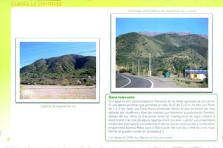 Guía de campo Cuesta La Dormida