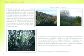 Guía de campo Cuesta La Dormida