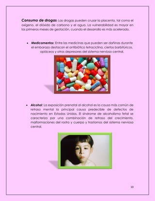 10
Consumo de drogas: Las drogas pueden cruzar la placenta, tal como el
oxígeno, el dióxido de carbono y el agua. La vulnerabilidad es mayor en
los primeros meses de gestación, cuando el desarrollo es más acelerado.
 Medicamentos: Entre las medicinas que pueden ser dañinas durante
el embarazo destacan el antibiótico tetraciclina, ciertos barbitúricos,
opiáceos y otros depresores del sistema nervioso central.
 Alcohol: La exposición prenatal al alcohol es la causa más común de
retraso mental la principal causa predecible de defectos de
nacimiento en Estados Unidos. El síndrome de alcoholismo fetal se
caracteriza por una combinación de retraso del crecimiento,
malformaciones del rostro y cuerpo y trastornos del sistema nervioso
central.
 