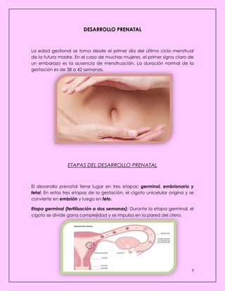 7
DESARROLLO PRENATAL
La edad gestional se toma desde el primer día del último ciclo menstrual
de la futura madre. En el caso de muchas mujeres, el primer signo claro de
un embarazo es la ausencia de menstruación. La duración normal de la
gestación es de 38 a 42 semanas.
ETAPAS DEL DESARROLLO PRENATAL
El desarrollo prenatal tiene lugar en tres etapas: germinal, embrionario y
fetal. En estas tres etapas de la gestación, el cigoto unicelular origina y se
convierte en embrión y luego en feto.
Etapa germinal (fertilización a dos semanas): Durante la etapa germinal, el
cigoto se divide gana complejidad y se impulsa en la pared del útero.
 