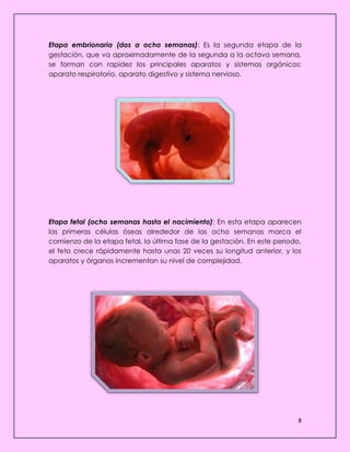 8
Etapa embrionaria (dos a ocho semanas): Es la segunda etapa de la
gestación, que va aproximadamente de la segunda a la octava semana,
se forman con rapidez los principales aparatos y sistemas orgánicos:
aparato respiratorio, aparato digestivo y sistema nervioso.
Etapa fetal (ocho semanas hasta el nacimiento): En esta etapa aparecen
las primeras células óseas alrededor de las ocho semanas marca el
comienzo de la etapa fetal, la última fase de la gestación. En este periodo,
el feto crece rápidamente hasta unas 20 veces su longitud anterior, y los
aparatos y órganos incrementan su nivel de complejidad.
 