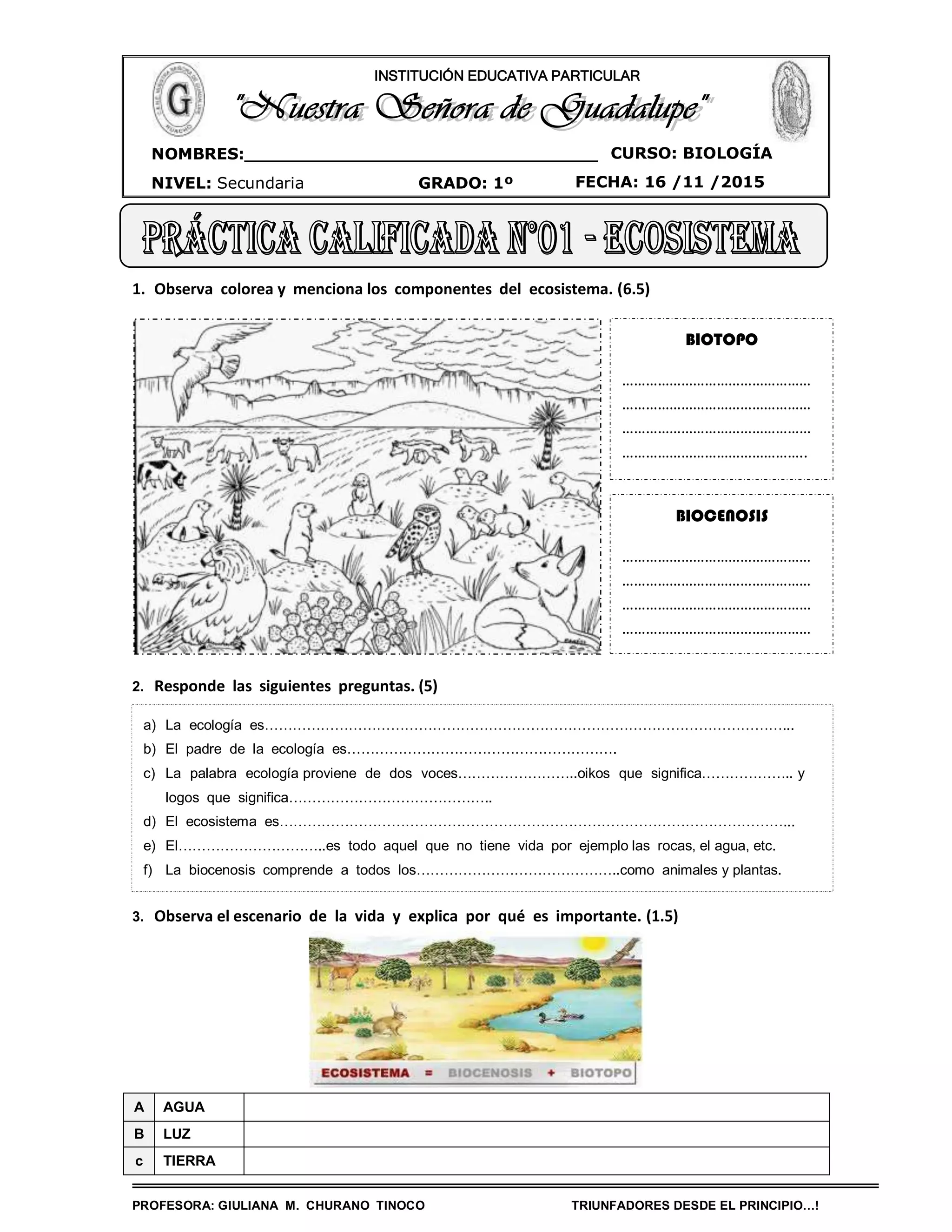 Guía de ecología ecosistema | PDF