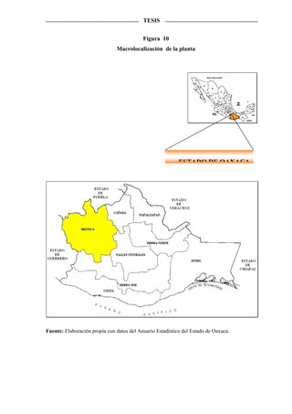 TESIS


                                           Figura 10
                               Macrolocalización de la planta




                                                           ESTADO DE OAXACA




Fuente: Elaboración propia con datos del Anuario Estadístico del Estado de Oaxaca.
 
