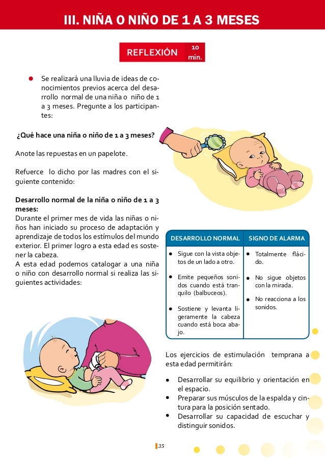 Guia De Estimulacion Temprana Para El Facilitador