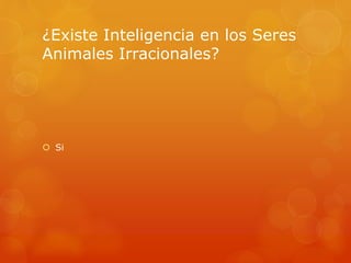 ¿Existe Inteligencia en los Seres 
Animales Irracionales? 
 Si 
 