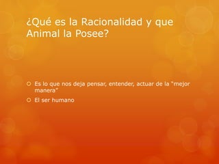 ¿Qué es la Racionalidad y que 
Animal la Posee? 
 Es lo que nos deja pensar, entender, actuar de la “mejor 
manera” 
 El ser humano 
 