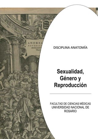 DISCIPLINA ANATOMÍA
Sexualidad,
Género y
Reproducción
FACULTAD DE CIENCIAS MÉDICAS
UNIVERSIDAD NACIONAL DE
ROSARIO
 