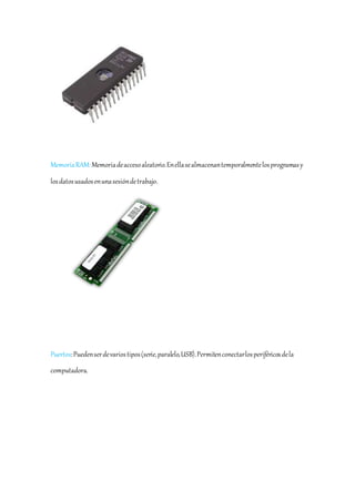 Memoria RAM: Memoria de acceso aleatorio. En ella se almacenan temporalmente los programas y 
los datos usados en una sesión de trabajo. 
Puertos: Pueden ser de varios tipos (serie, paralelo, USB). Permiten conectar los periféricos de la 
computadora. 
 