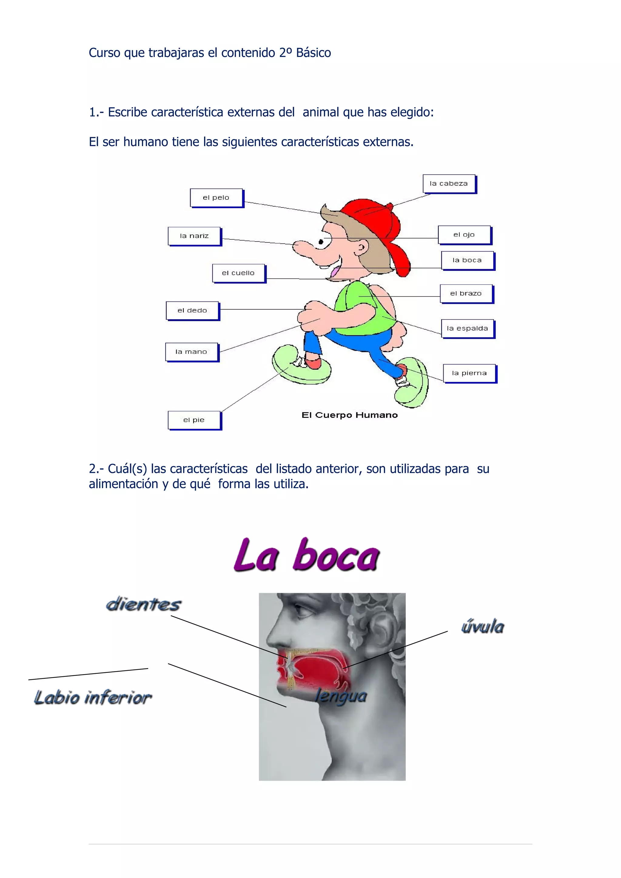 Curso que trabajaras el contenido 2º Básico



1.- Escribe característica externas del animal que has elegido:

El ser humano tiene las siguientes características externas.




2.- Cuál(s) las características del listado anterior, son utilizadas para su
alimentación y de qué forma las utiliza.
 