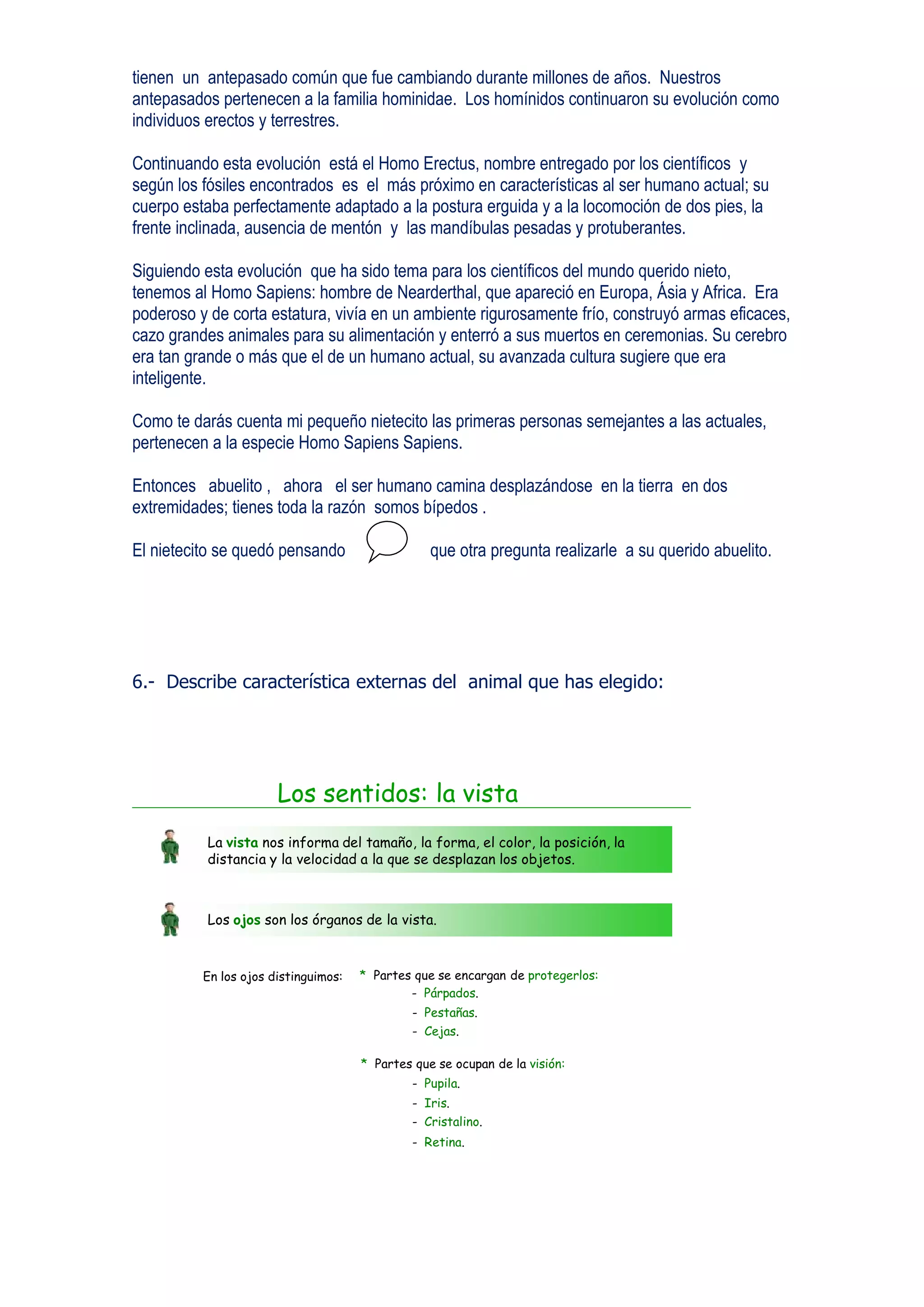 tienen un antepasado común que fue cambiando durante millones de años. Nuestros
antepasados pertenecen a la familia hominidae. Los homínidos continuaron su evolución como
individuos erectos y terrestres.

Continuando esta evolución está el Homo Erectus, nombre entregado por los científicos y
según los fósiles encontrados es el más próximo en características al ser humano actual; su
cuerpo estaba perfectamente adaptado a la postura erguida y a la locomoción de dos pies, la
frente inclinada, ausencia de mentón y las mandíbulas pesadas y protuberantes.

Siguiendo esta evolución que ha sido tema para los científicos del mundo querido nieto,
tenemos al Homo Sapiens: hombre de Nearderthal, que apareció en Europa, Ásia y Africa. Era
poderoso y de corta estatura, vivía en un ambiente rigurosamente frío, construyó armas eficaces,
cazo grandes animales para su alimentación y enterró a sus muertos en ceremonias. Su cerebro
era tan grande o más que el de un humano actual, su avanzada cultura sugiere que era
inteligente.

Como te darás cuenta mi pequeño nietecito las primeras personas semejantes a las actuales,
pertenecen a la especie Homo Sapiens Sapiens.

Entonces abuelito , ahora el ser humano camina desplazándose en la tierra en dos
extremidades; tienes toda la razón somos bípedos .

El nietecito se quedó pensando                    que otra pregunta realizarle a su querido abuelito.




6.- Describe característica externas del animal que has elegido:




                       Los sentidos: la vista
          La vista nos informa del tamaño, la forma, el color, la posición, la
          distancia y la velocidad a la que se desplazan los objetos.



          Los ojos son los órganos de la vista.



          En los ojos distinguimos:   * Partes que se encargan de protegerlos:
                                              - Párpados.
                                               - Pestañas.
                                               - Cejas.

                                      * Partes que se ocupan de la visión:
                                               - Pupila.
                                               - Iris.
                                               - Cristalino.
                                               - Retina.
 