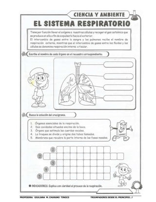 PROFESORA: GIULIANA M. CHURANO TINOCO TRIUNFADORES DESDE EL PRINCIPIO…!
 
