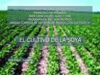 UNIVERSIDAD NACIONAL EXPERIMENTAL
“FRANCISCO DE MIRANDA”
ÀREA CIENCIAS DEL AGRO Y MAR
PROGRAMA DE ING. AGRONÓMICA
UNIDAD CURRICULAR SISTEMAS DE PRODUCCIÓN CULTIVOS IV
Prof. Dilson Gutiérrez.
EL CULTIVO DE LA SOYA
 