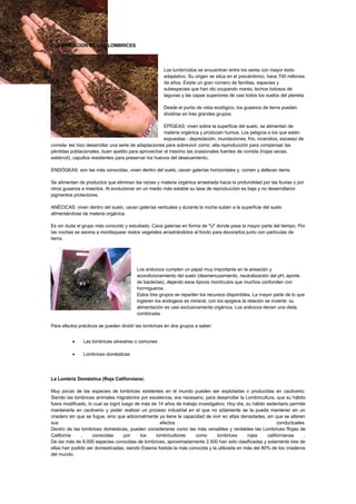 GuíA De Lombricultura 1