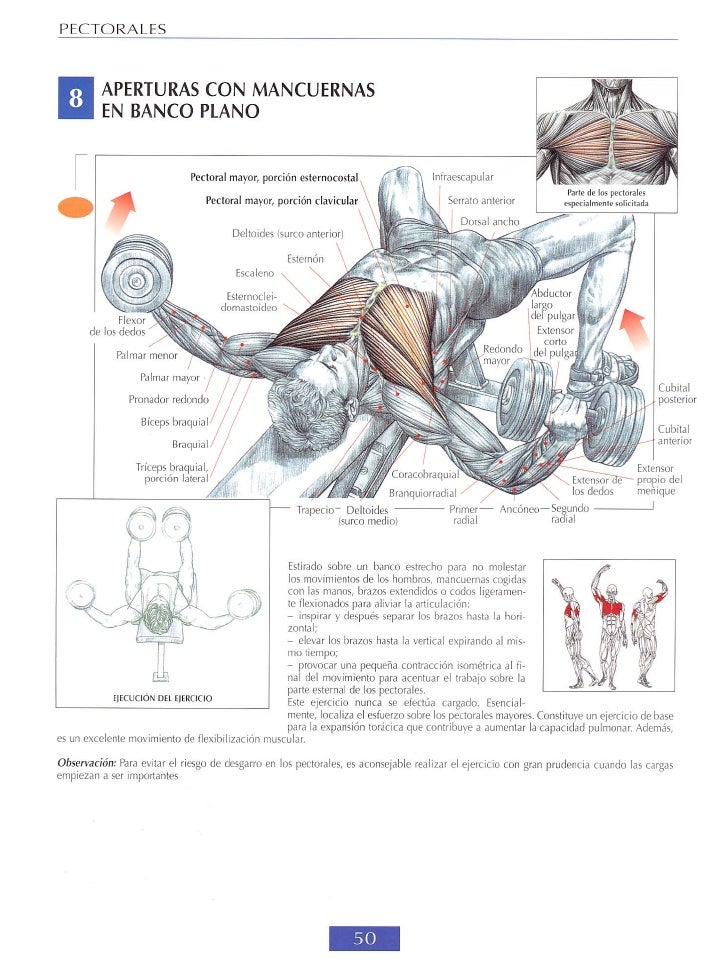 Guía de los movimientos de musculación   f delavier slideshare