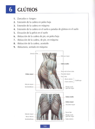 GUIA DE MUSCULACION