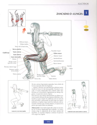 GUIA DE MUSCULACION
