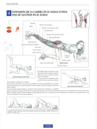 GUIA DE MUSCULACION