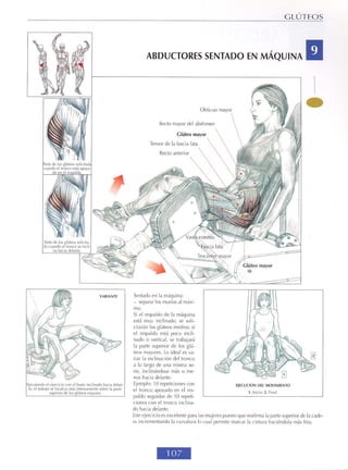 GUIA DE MUSCULACION