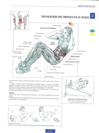 GUIA DE MUSCULACION