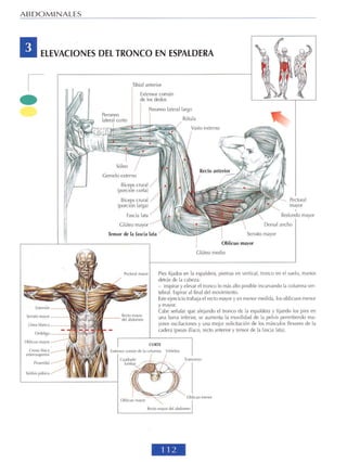 GUIA DE MUSCULACION