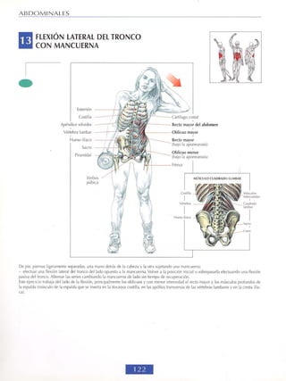 GUIA DE MUSCULACION