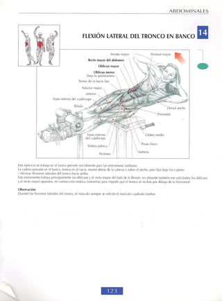 GUIA DE MUSCULACION