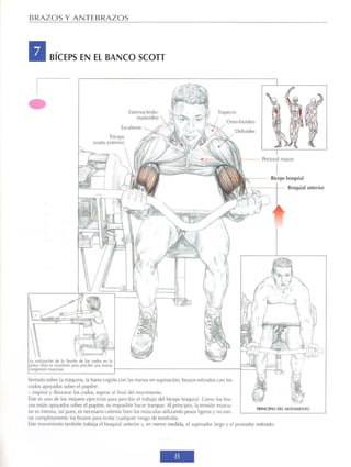 GUIA DE MUSCULACION