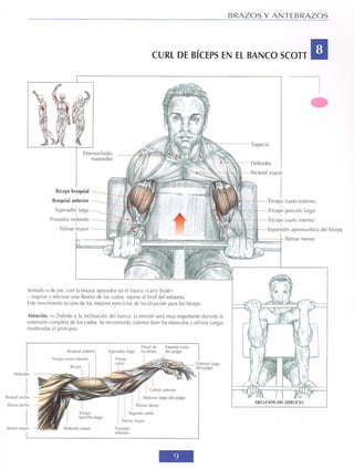 GUIA DE MUSCULACION