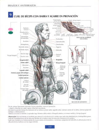 GUIA DE MUSCULACION