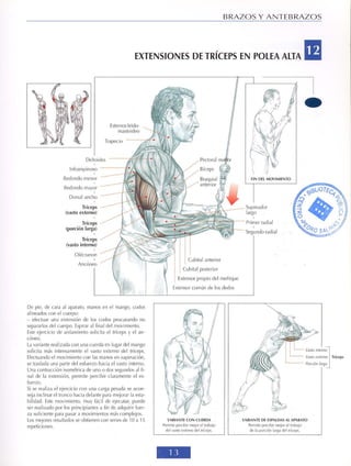 GUIA DE MUSCULACION