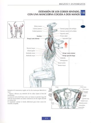 GUIA DE MUSCULACION