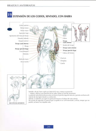 GUIA DE MUSCULACION