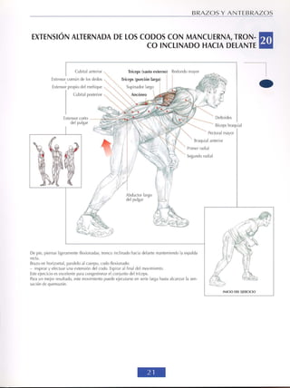 GUIA DE MUSCULACION