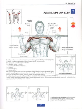 GUIA DE MUSCULACION