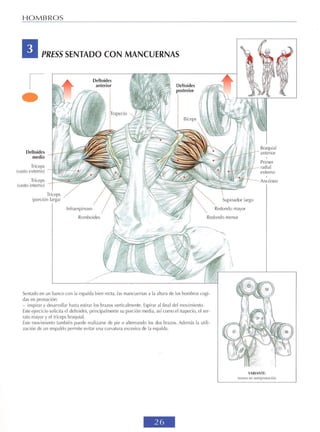 GUIA DE MUSCULACION