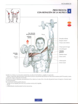 GUIA DE MUSCULACION